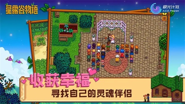 星露谷物语美化版 截图4